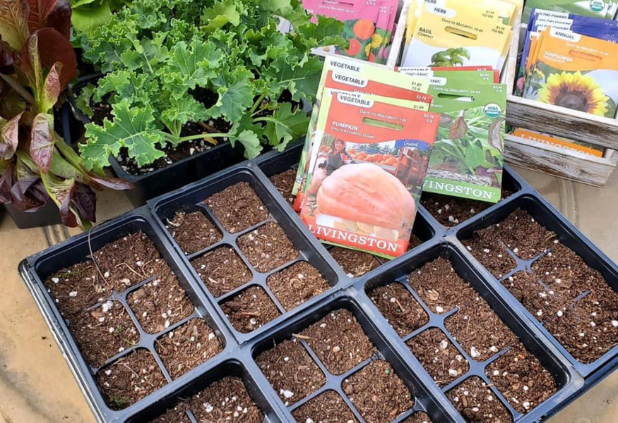 Garden Center Classes